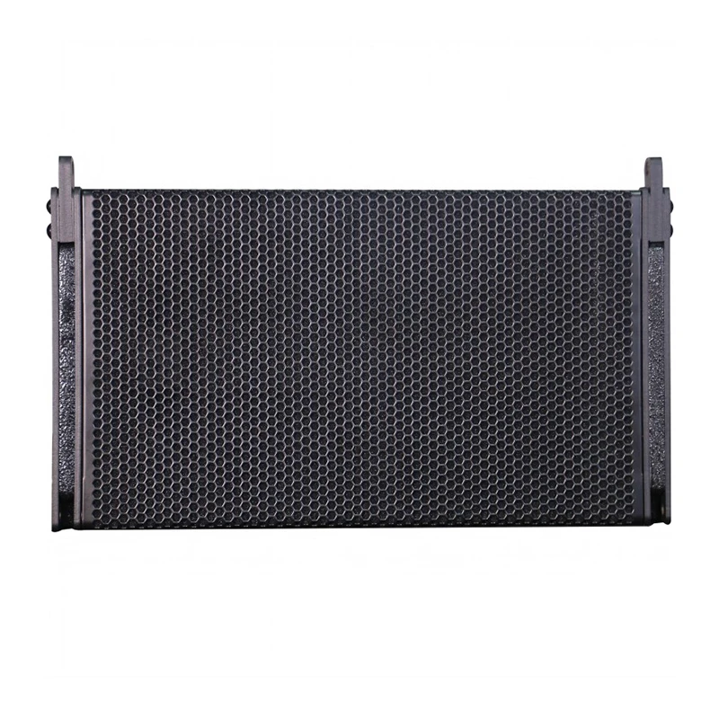 RA101 Passive Single 10 Inch 2 Way Line Array Speaker